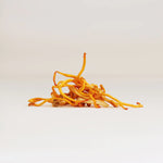 Dirtea Powder Cordyceps 60g Tin